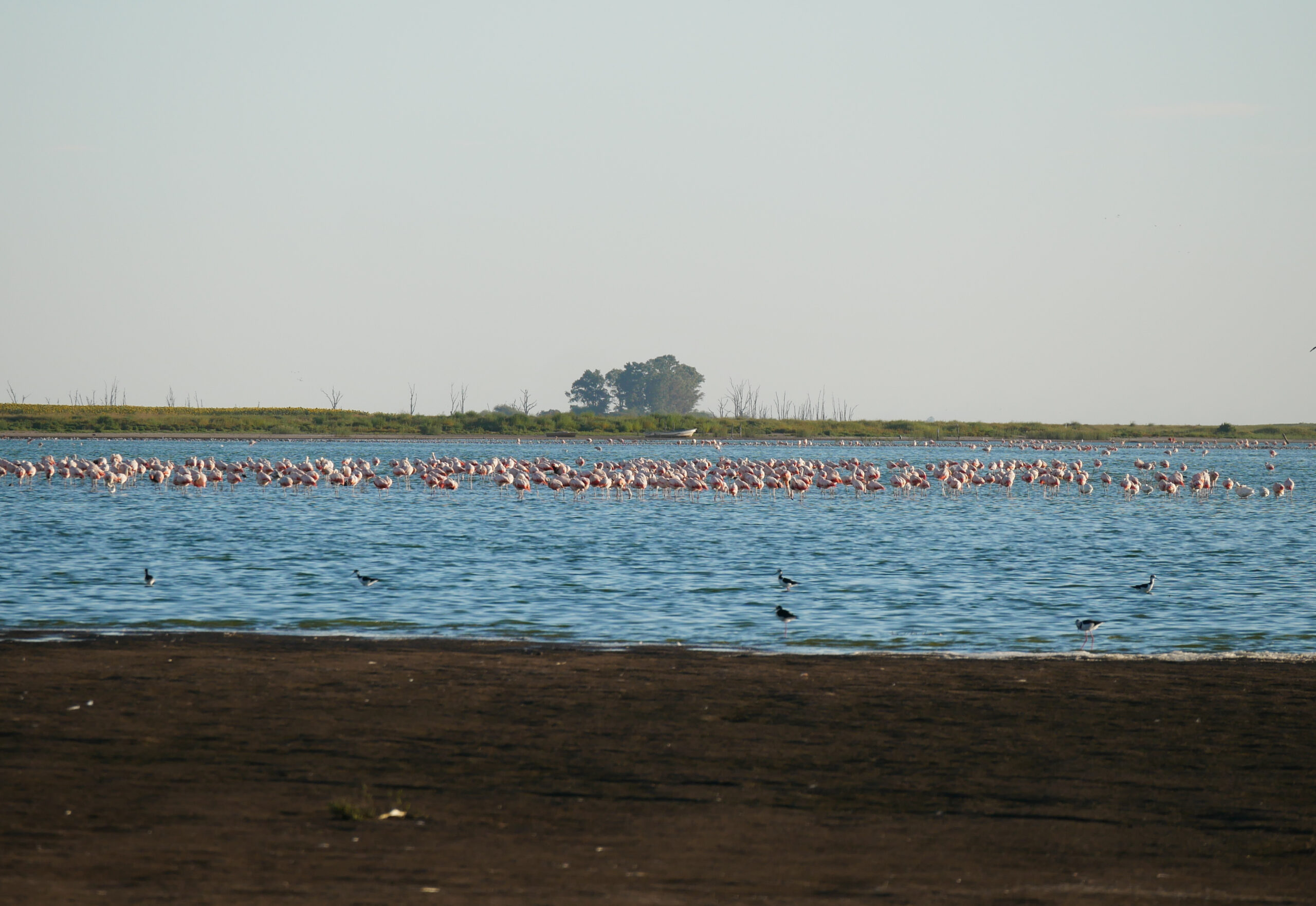 Laguna Loma Alta