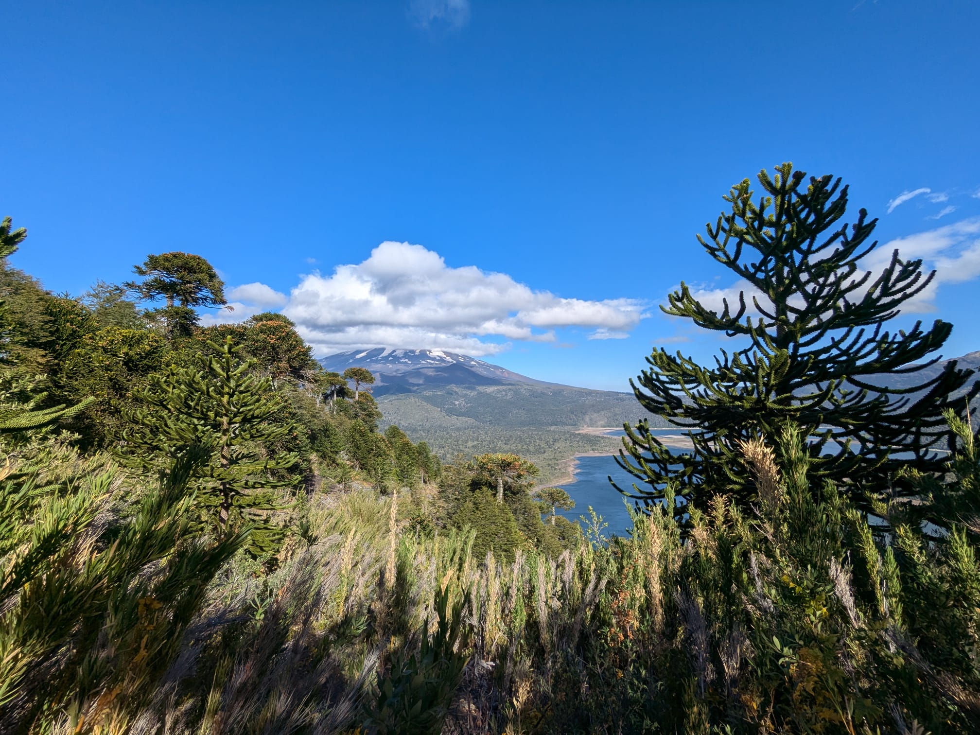 Chile’s Lake District: Part II